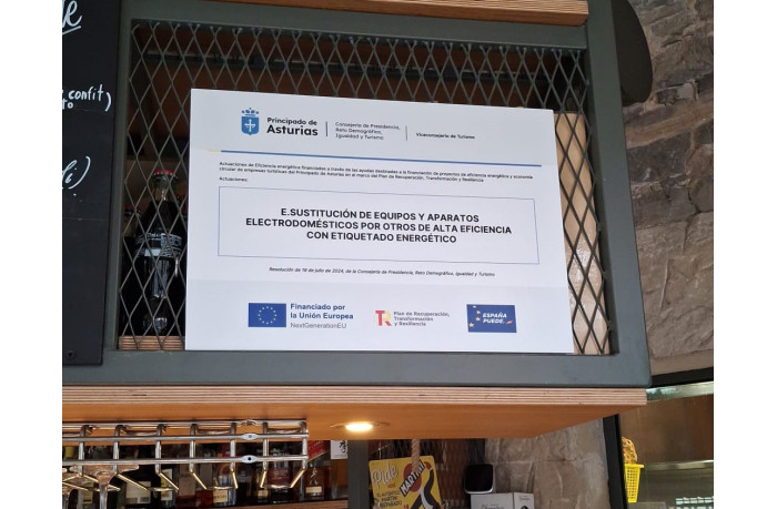 SUBVENCION  SUSTITUCIÓN DE EQUIPOS Y APARATOS ELECTRODOMÉSTICOS