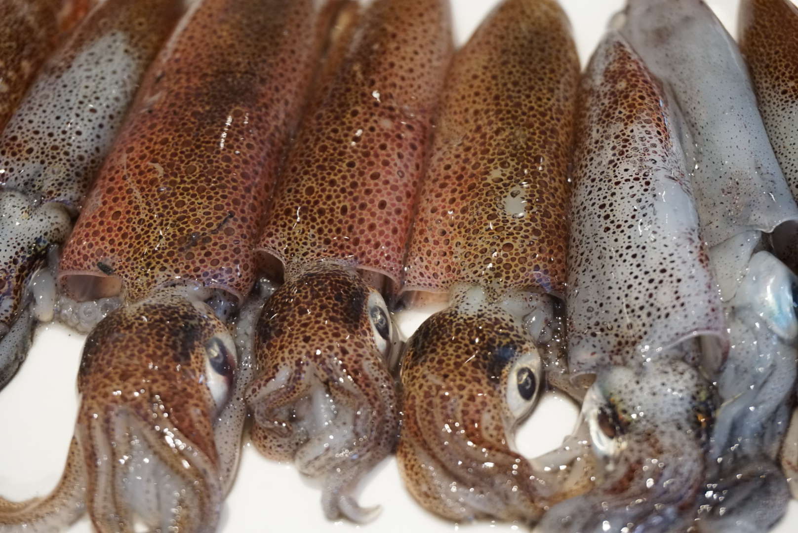 Menú sabroso para el verano