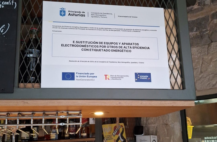 SUBVENCION  SUSTITUCIÓN DE EQUIPOS Y APARATOS ELECTRODOMÉSTICOS
