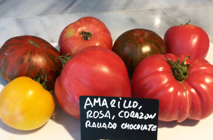 Tomato from Vega, we are in season and we love its flavour.